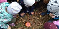 IMG_20201009_125945