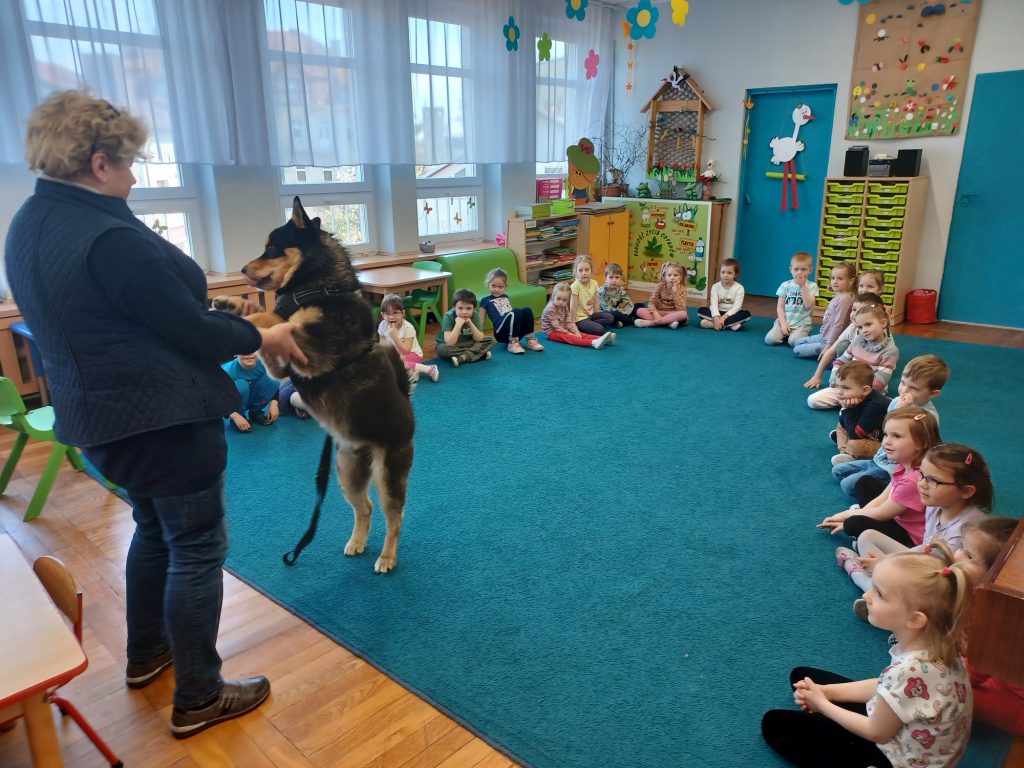 Odwiedziny psów w przedszkolu