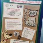 Pomagamy zwierzakom ze schroniska dla bezdomnych zwierząt we Wrocławiu