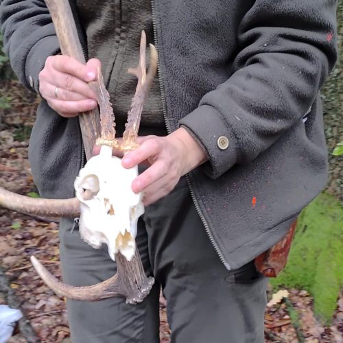 20251007_110752 20251007_110752