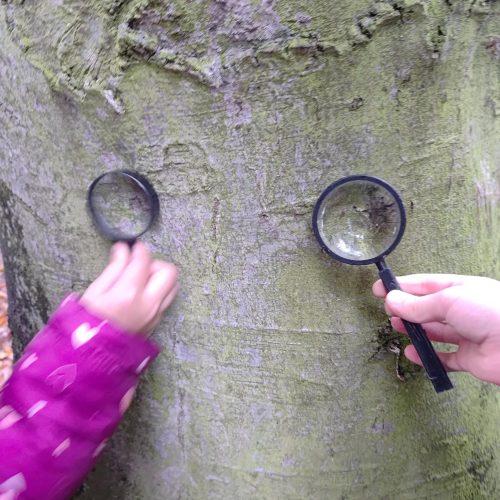 20251007_121229 20251007_121229